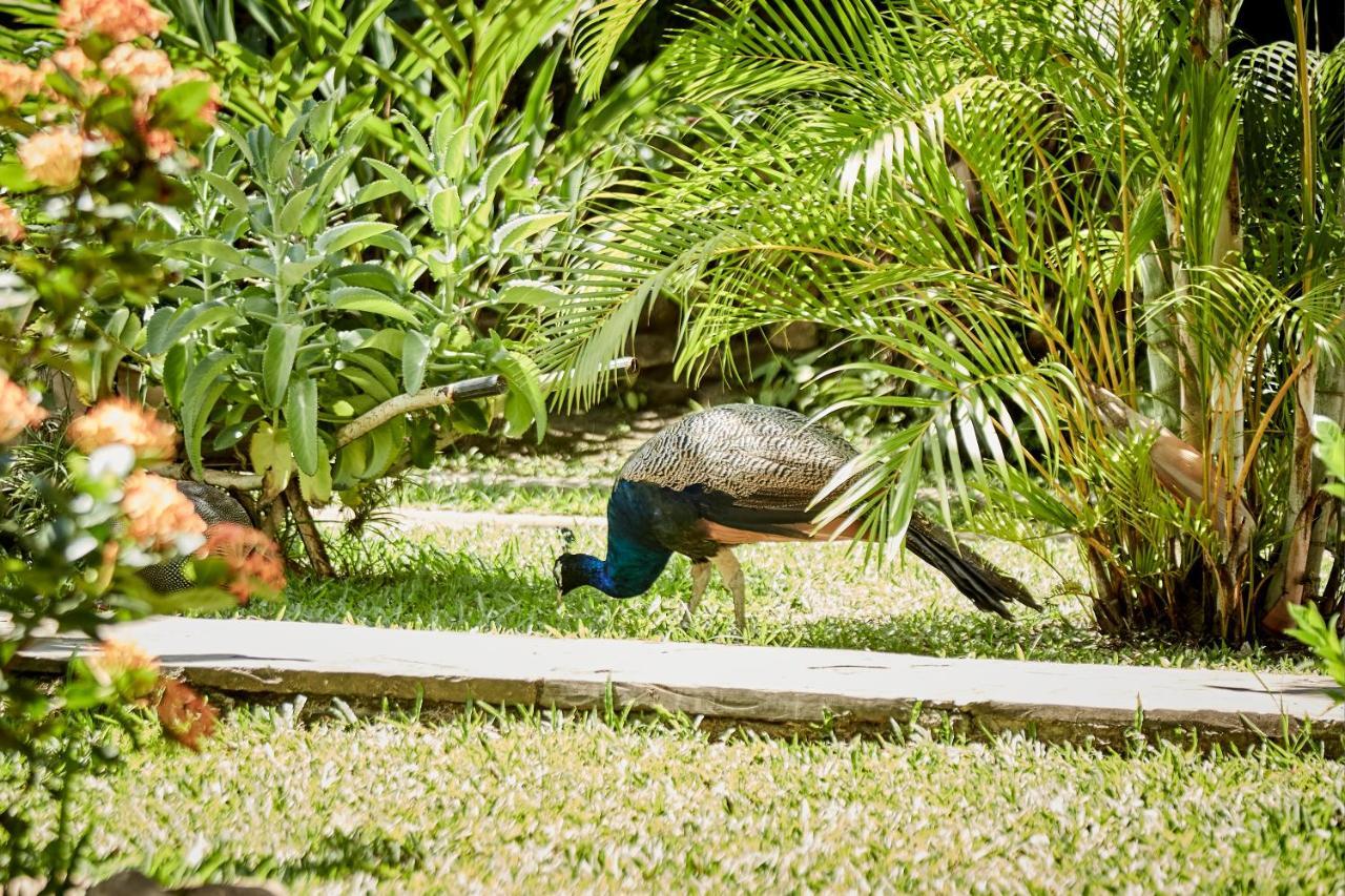 Villa Lu Amazon Ecolodge Tarapoto Ngoại thất bức ảnh